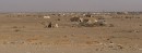 Beduins in Desert * Bedouin tents in the desert. * 586 x 222 * (45KB)